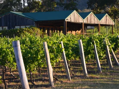 Baringbah winery