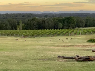 Berand Estate winery