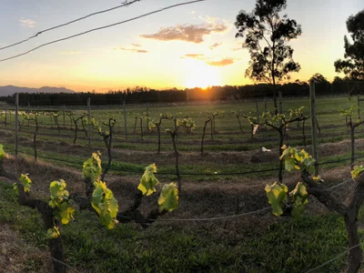 Broken View winery