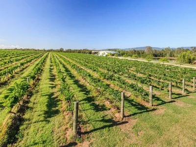 Capercaillie winery