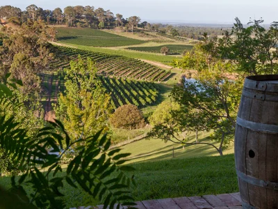 Carillion winery