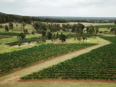 Colvin Wines winery