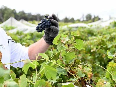 deCapel winery