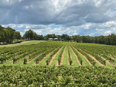 Degen winery